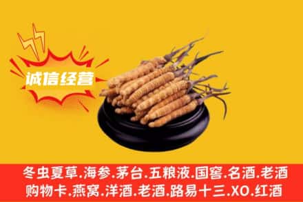 临夏州永靖回收冬虫夏草